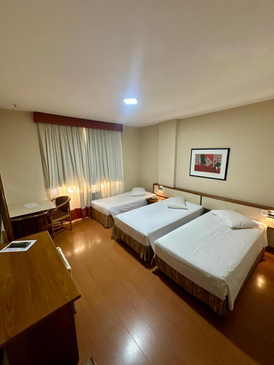 Cesar Park Hotel Juiz de Fora Exterior photo